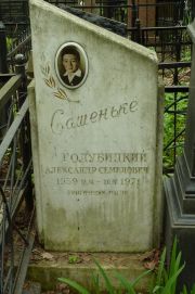Голубицкий Александр Семенович, Москва, Востряковское кладбище